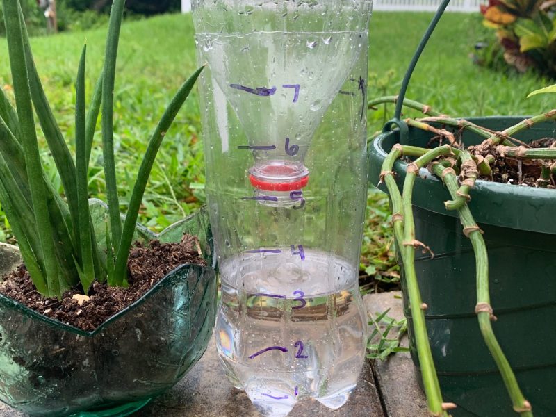 Homemade Rain Gauge