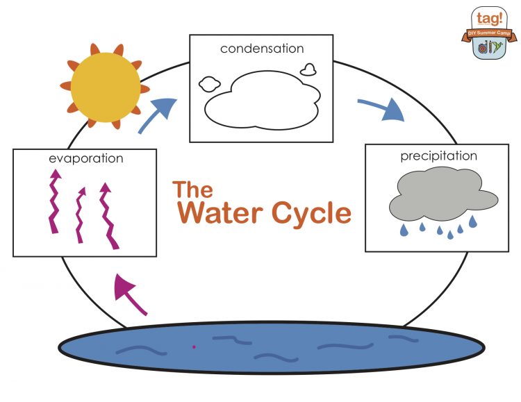 tag_DIY_Water Cycle